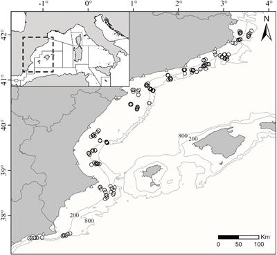 Spatial distribution of the demersal chondrichthyan community from the western Mediterranean trawl bycatch